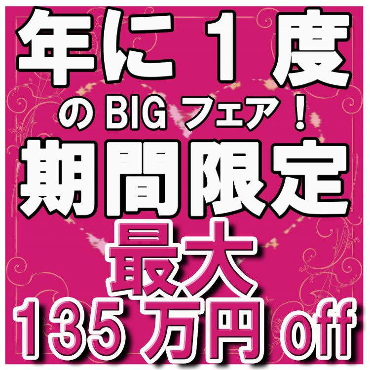 ★★年に1度のBIGフェア★★期間限定!最大135万円OFF!!